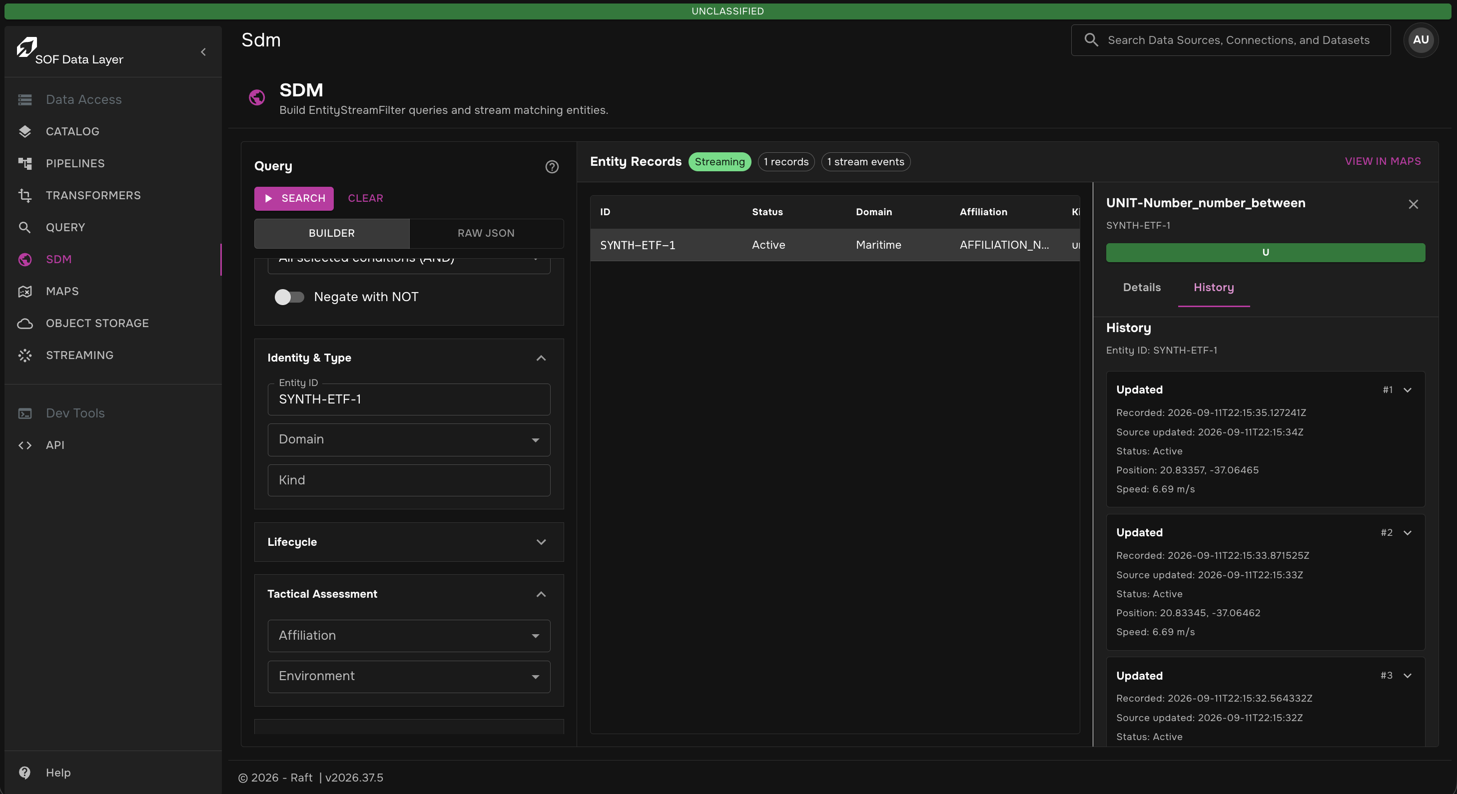 SDM page showing query builder filter on entity ID